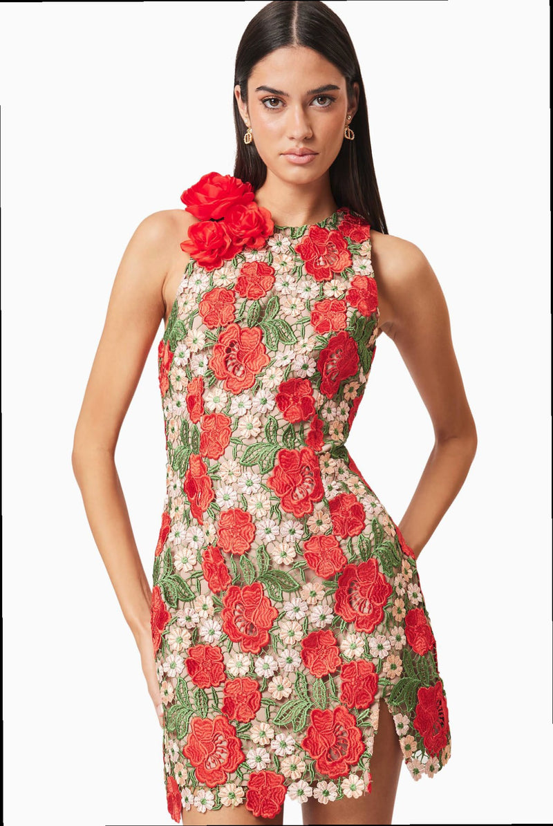 Rose Lace Mini - Red